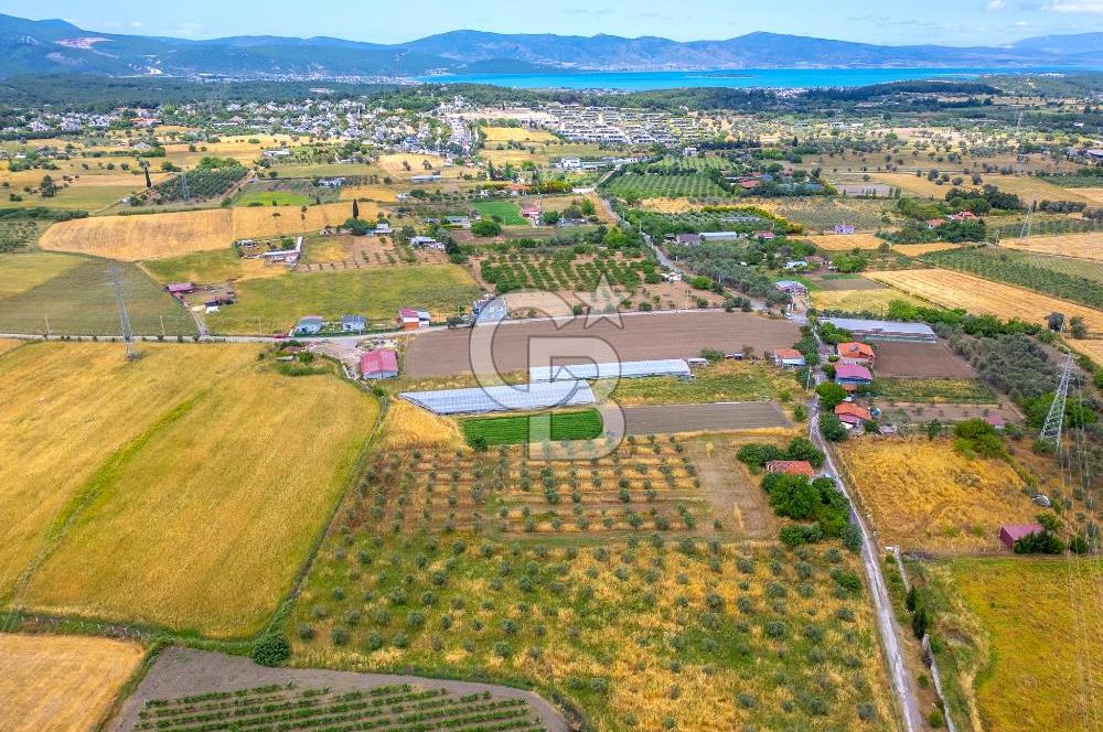 URLA SIRA MAH. SATILIK 6353 M2 ARAZİ