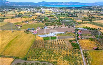 URLA SIRA MAH. SATILIK 6353 M2 ARAZİ