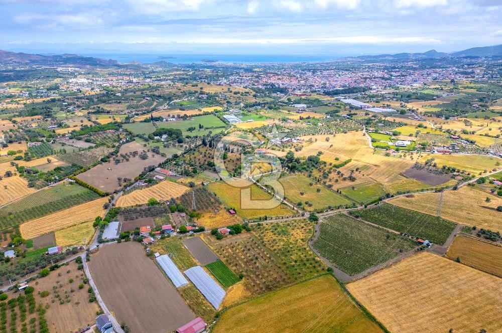 URLA SIRA MAH. SATILIK 6353 M2 ARAZİ