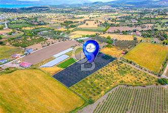 URLA SIRA MAH. SATILIK 6353 M2 ARAZİ
