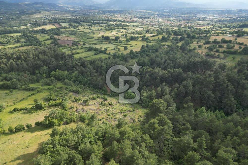Çanakkale Yenice Ahiler Köyünde 5.762 M² Satılık Tarla !