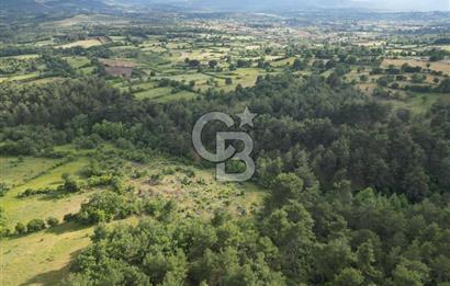 Çanakkale Yenice Ahiler Köyünde 5.762 M² Satılık Tarla !