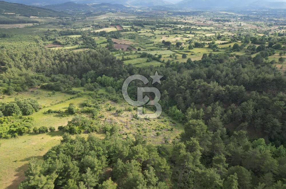Çanakkale Yenice Ahiler Köyünde 5.762 M² Satılık Tarla !