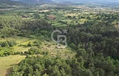 Çanakkale Yenice Ahiler Köyünde 5.762 M² Satılık Tarla !