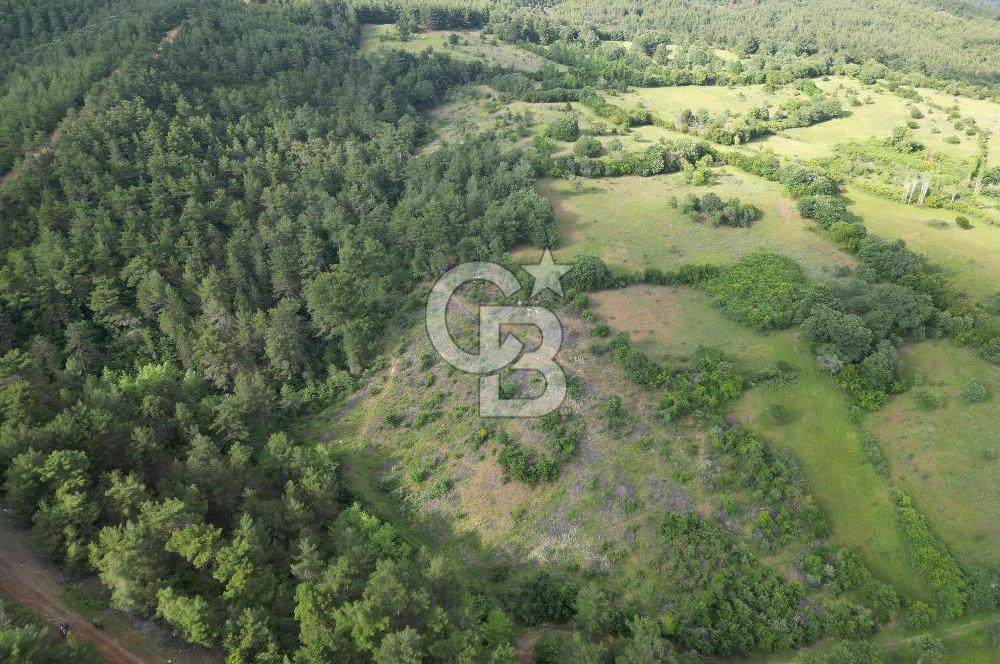 Çanakkale Yenice Ahiler Köyünde 5.762 M² Satılık Tarla !