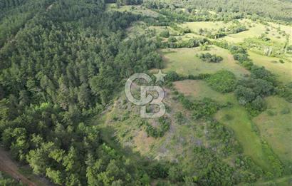 Çanakkale Yenice Ahiler Köyünde 5.762 M² Satılık Tarla !