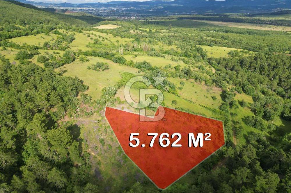 Çanakkale Yenice Ahiler Köyünde 5.762 M² Satılık Tarla !