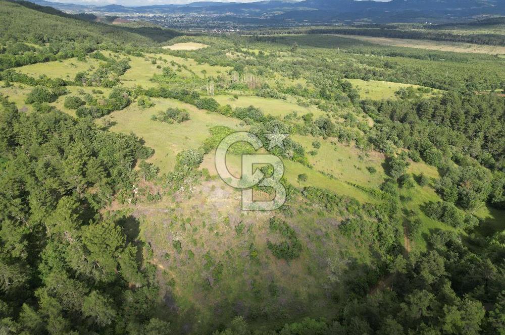 Çanakkale Yenice Ahiler Köyünde 5.762 M² Satılık Tarla !
