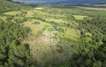 Çanakkale Yenice Ahiler Köyünde 5.762 M² Satılık Tarla !