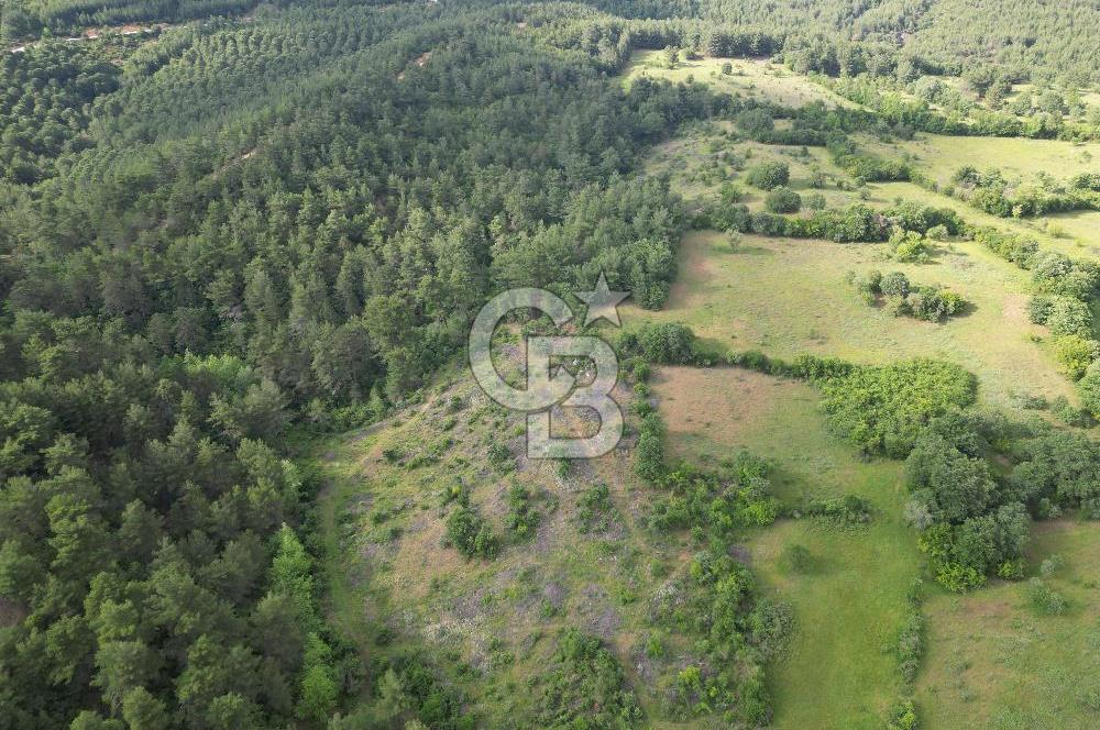 Çanakkale Yenice Ahiler Köyünde 5.762 M² Satılık Tarla !