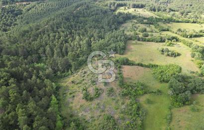 Çanakkale Yenice Ahiler Köyünde 5.762 M² Satılık Tarla !