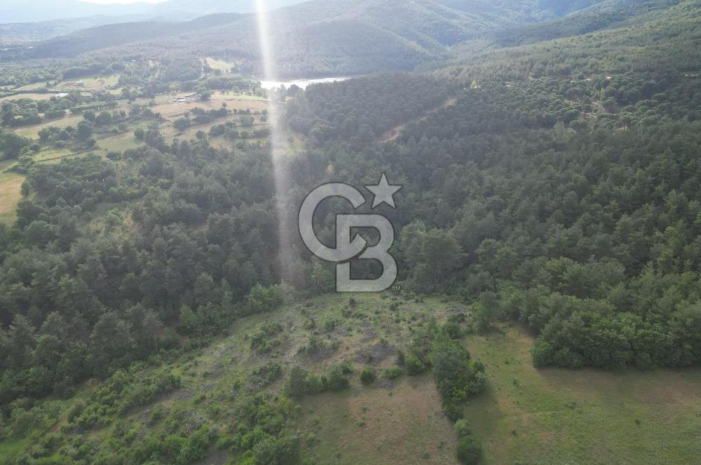 Çanakkale Yenice Ahiler Köyünde 5.762 M² Satılık Tarla !