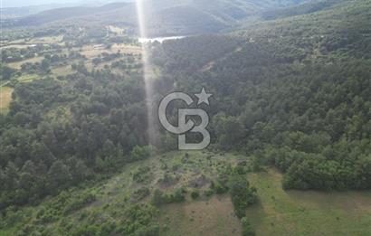 Çanakkale Yenice Ahiler Köyünde 5.762 M² Satılık Tarla !
