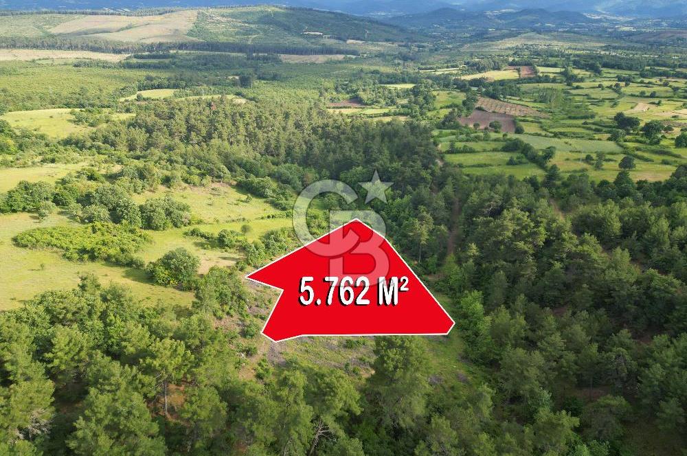 Çanakkale Yenice Ahiler Köyünde 5.762 M² Satılık Tarla !