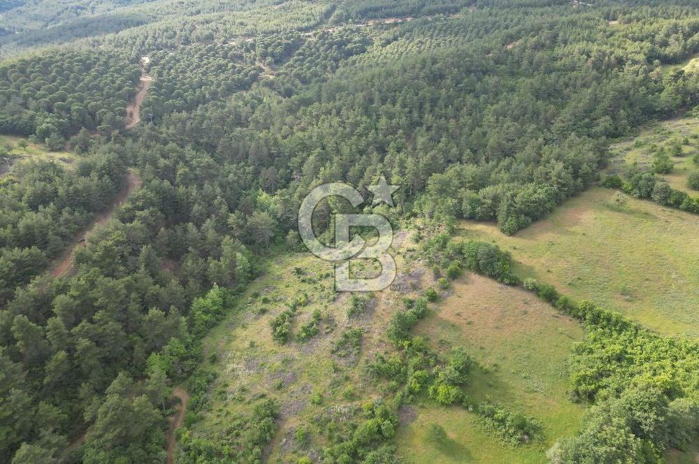 Çanakkale Yenice Ahiler Köyünde 5.762 M² Satılık Tarla !