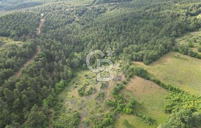 Çanakkale Yenice Ahiler Köyünde 5.762 M² Satılık Tarla !