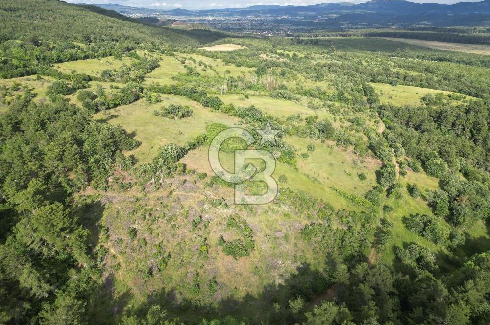 Çanakkale Yenice Ahiler Köyünde 5.762 M² Satılık Tarla !