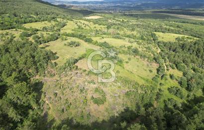 Çanakkale Yenice Ahiler Köyünde 5.762 M² Satılık Tarla !