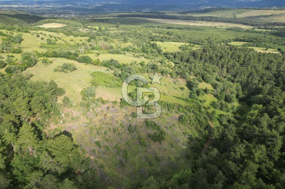 Çanakkale Yenice Ahiler Köyünde 5.762 M² Satılık Tarla !