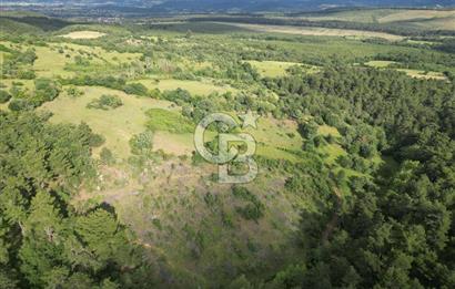 Çanakkale Yenice Ahiler Köyünde 5.762 M² Satılık Tarla !