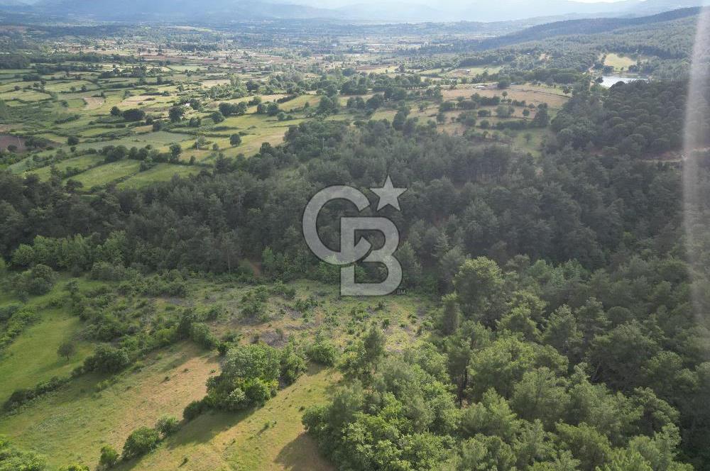 Çanakkale Yenice Ahiler Köyünde 5.762 M² Satılık Tarla !