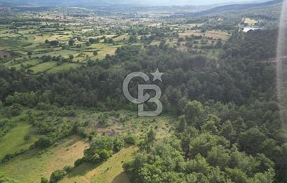 Çanakkale Yenice Ahiler Köyünde 5.762 M² Satılık Tarla !