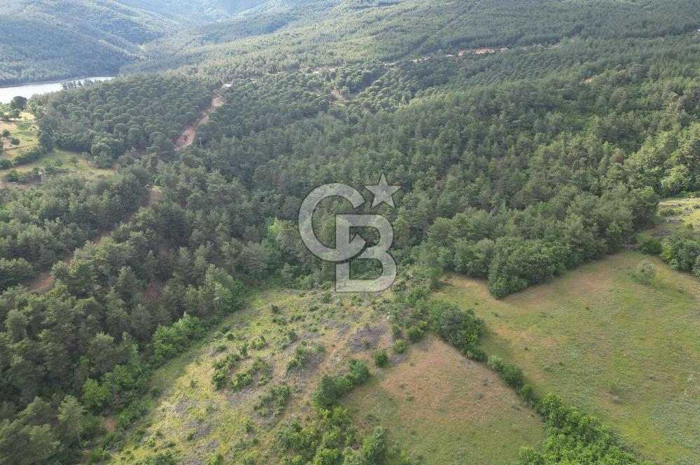Çanakkale Yenice Ahiler Köyünde 5.762 M² Satılık Tarla !