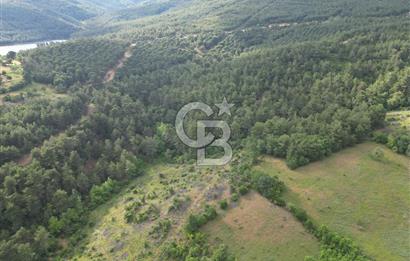 Çanakkale Yenice Ahiler Köyünde 5.762 M² Satılık Tarla !