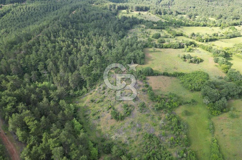 Çanakkale Yenice Ahiler Köyünde 5.762 M² Satılık Tarla !