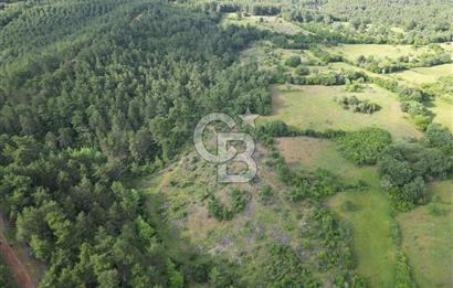 Çanakkale Yenice Ahiler Köyünde 5.762 M² Satılık Tarla !