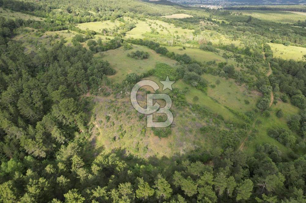 Çanakkale Yenice Ahiler Köyünde 5.762 M² Satılık Tarla !