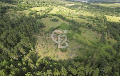 Çanakkale Yenice Ahiler Köyünde 5.762 M² Satılık Tarla !