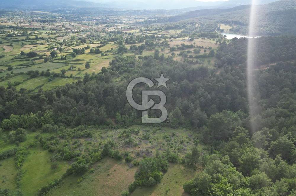 Çanakkale Yenice Ahiler Köyünde 5.762 M² Satılık Tarla !
