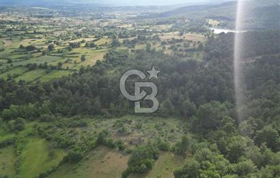 Çanakkale Yenice Ahiler Köyünde 5.762 M² Satılık Tarla !