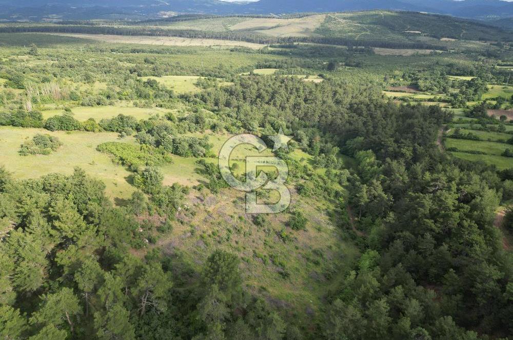 Çanakkale Yenice Ahiler Köyünde 5.762 M² Satılık Tarla !