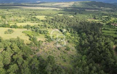 Çanakkale Yenice Ahiler Köyünde 5.762 M² Satılık Tarla !