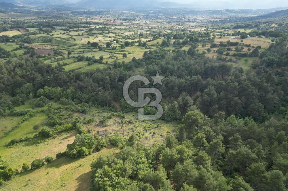 Çanakkale Yenice Ahiler Köyünde 5.762 M² Satılık Tarla !