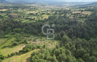 Çanakkale Yenice Ahiler Köyünde 5.762 M² Satılık Tarla !