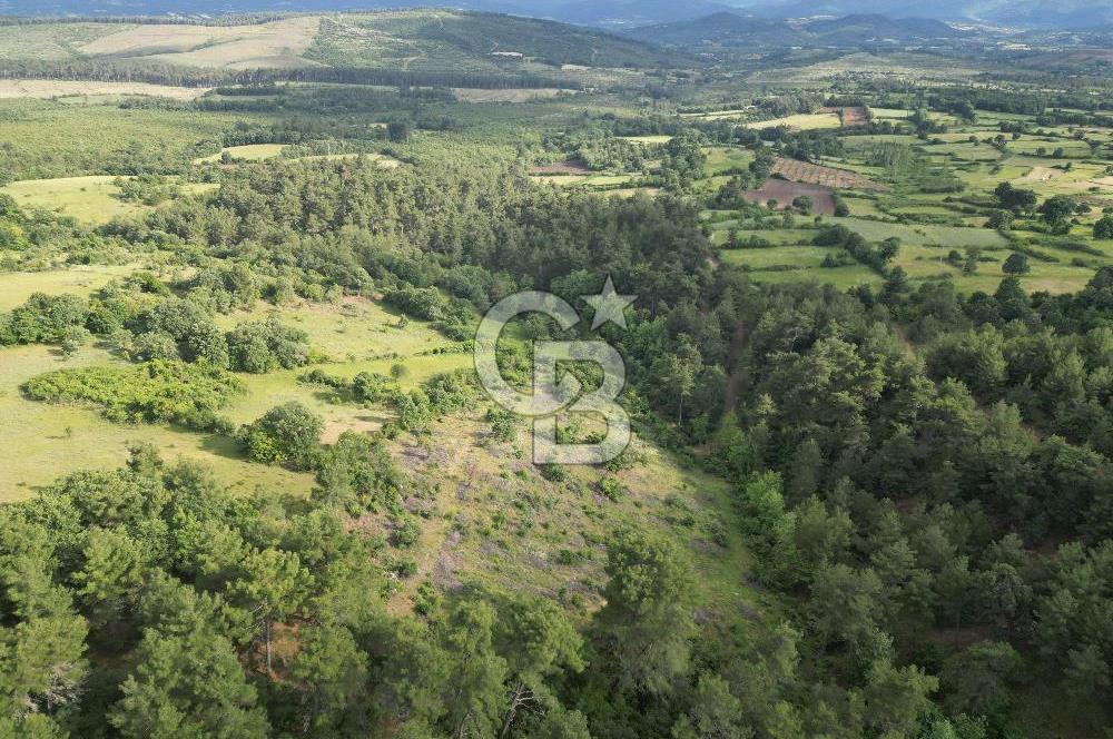 Çanakkale Yenice Ahiler Köyünde 5.762 M² Satılık Tarla !
