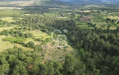 Çanakkale Yenice Ahiler Köyünde 5.762 M² Satılık Tarla !