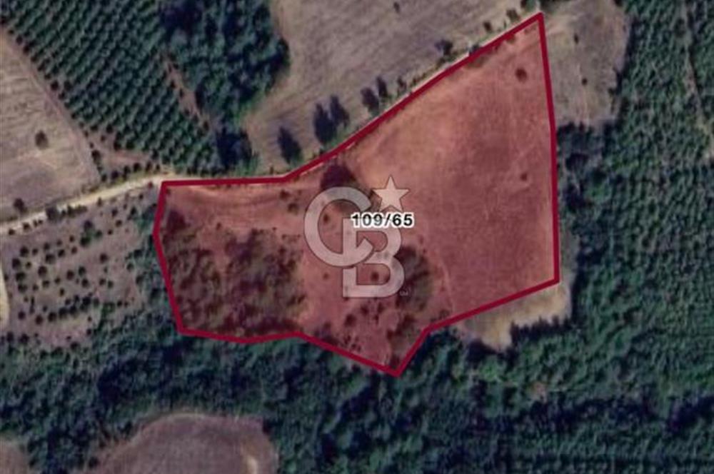 ÇANAKKALE MERKEZ ELMACIK KÖYÜNDE KAÇMAZ FIRSAT TARLA