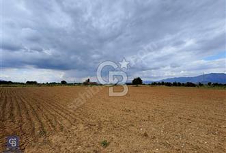 Acıpayam Akalanda Satılık 13.230 m2 Tarla