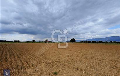 Acıpayam Akalanda Satılık 13.230 m2 Tarla