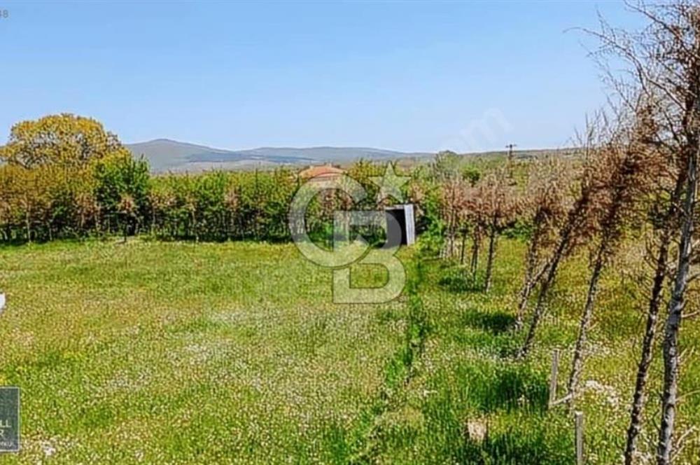 Evciler köyünde köye yakın %35 imarlı arsa