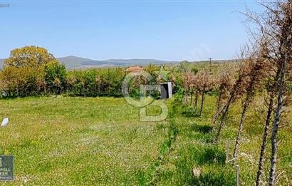 Evciler köyünde köye yakın %35 imarlı arsa