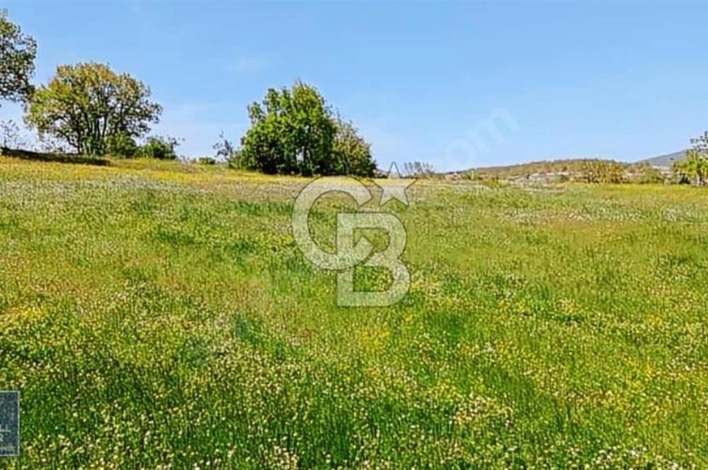 Evciler köyünde köye yakın %35 imarlı arsa