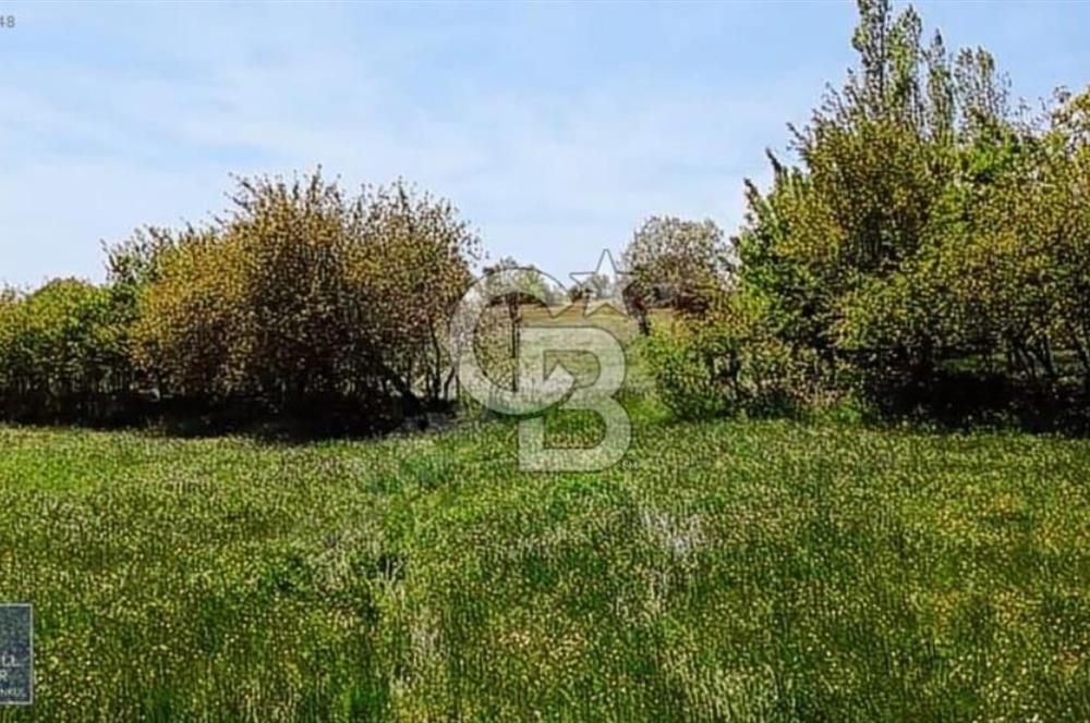 Evciler köyünde köye yakın %35 imarlı arsa