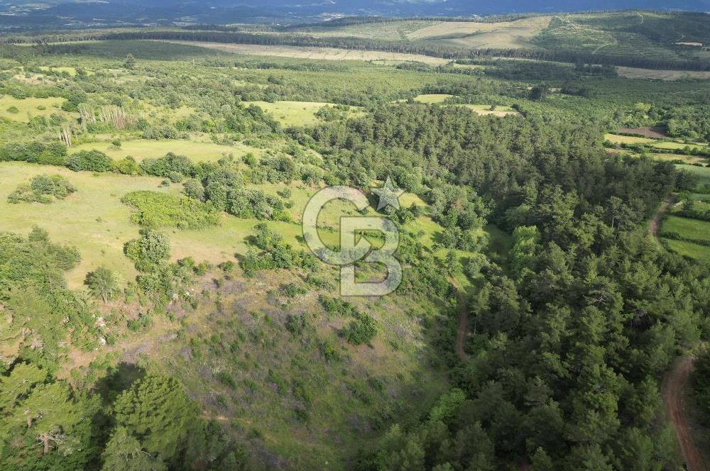 Çanakkale Yenice Ahiler Köyünde 5.762 M² Satılık Tarla !