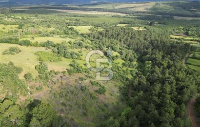 Çanakkale Yenice Ahiler Köyünde 5.762 M² Satılık Tarla !