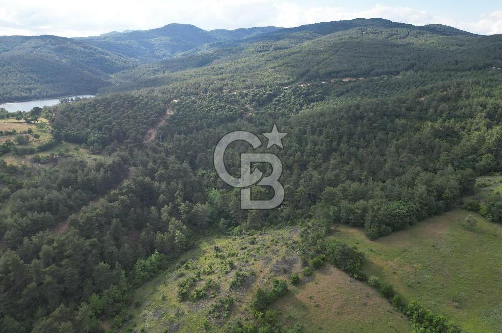 Çanakkale Yenice Ahiler Köyünde 5.762 M² Satılık Tarla !